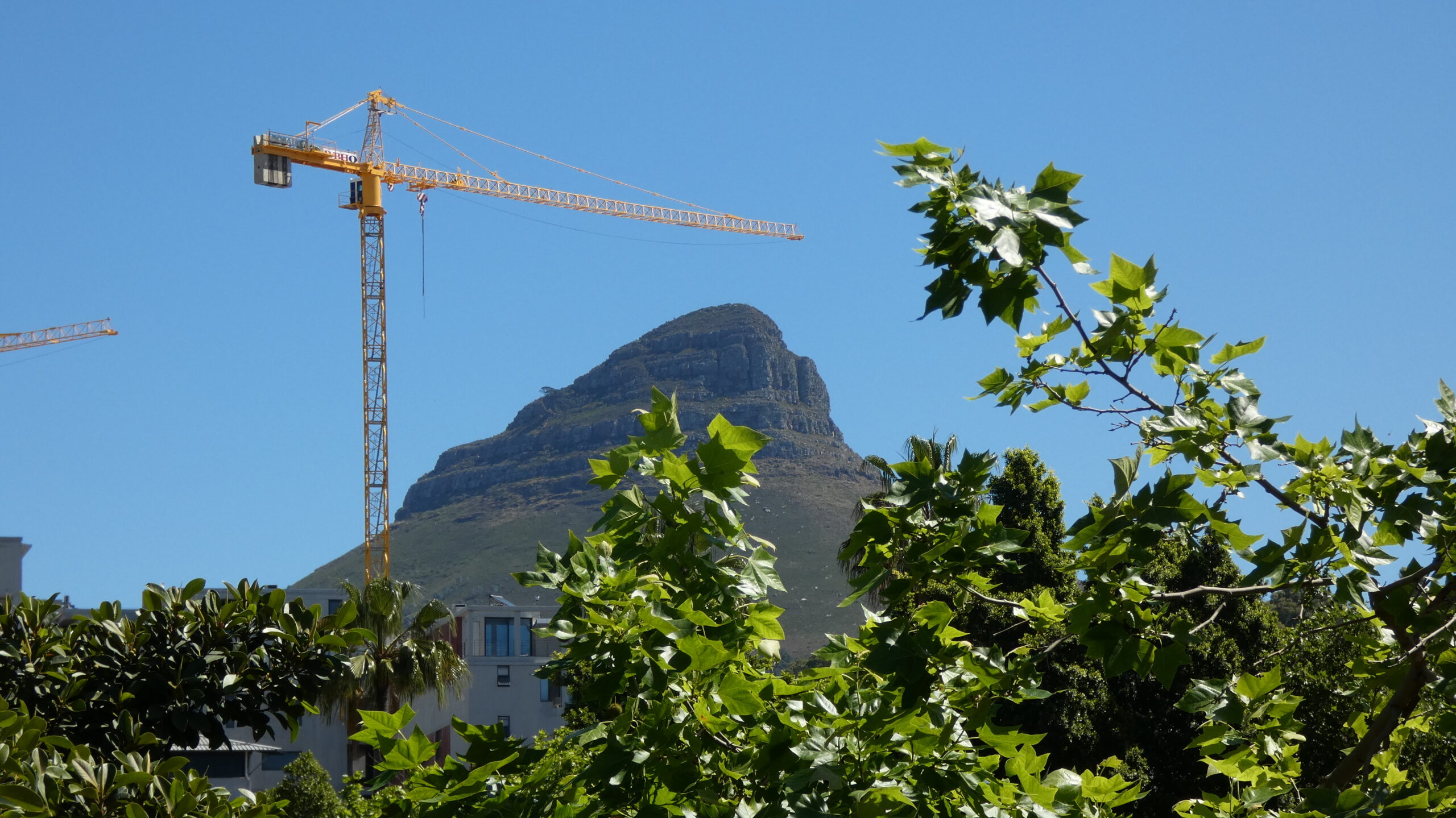 P1040602