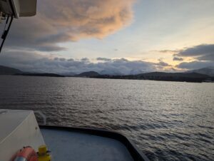 PXL_20241217_094519923.MP