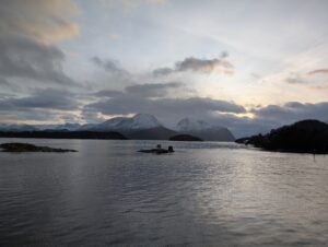 PXL_20241217_100601478.NIGHT