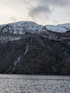 PXL_20241217_105403343.MP