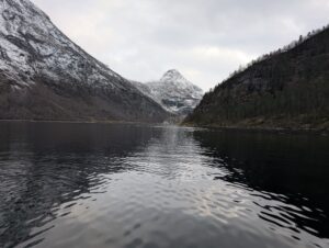 PXL_20241217_121416379.MP