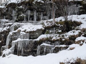 PXL_20241217_125415365