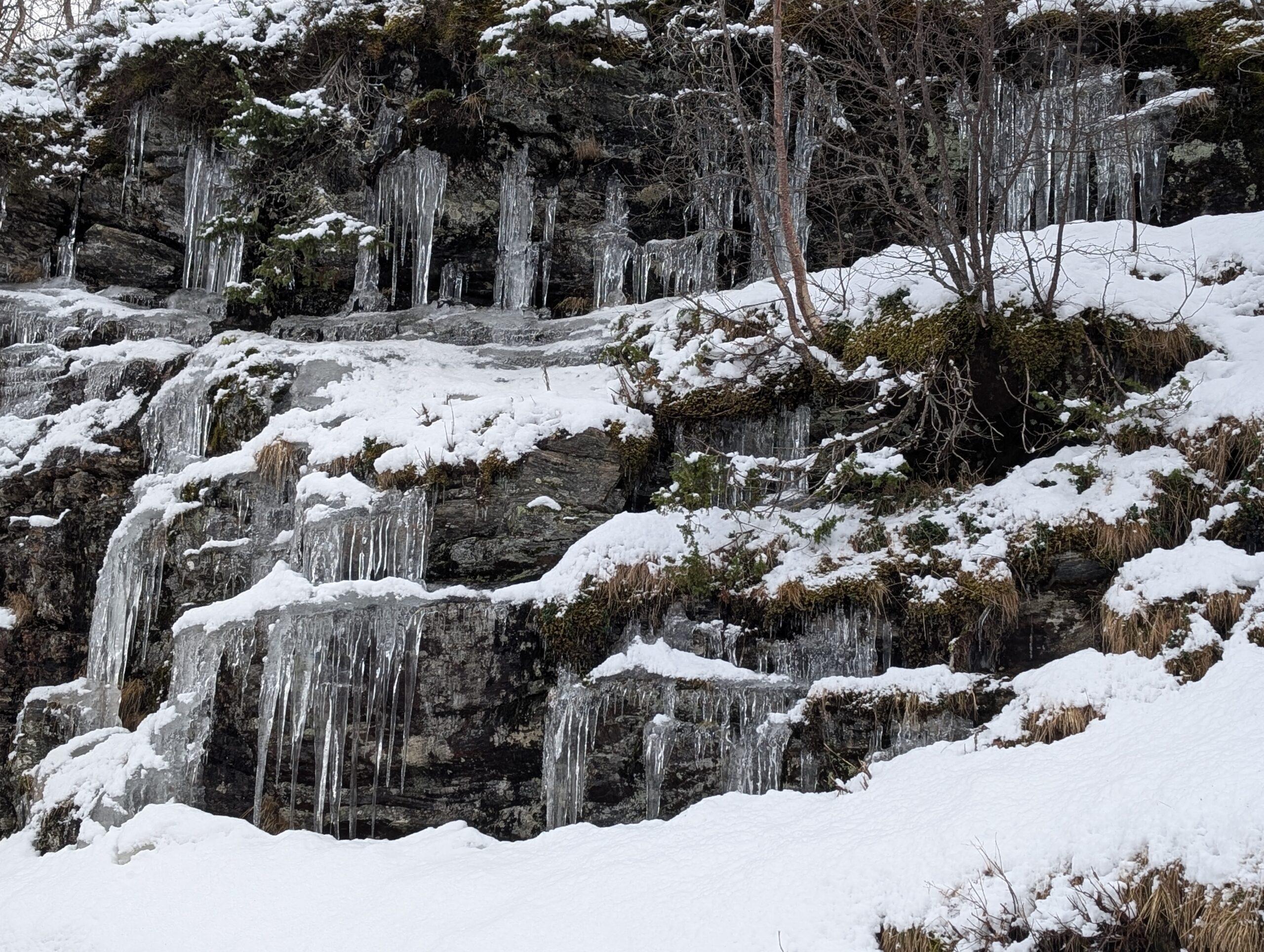 PXL_20241217_125415365