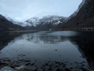 PXL_20241217_142701482.MP