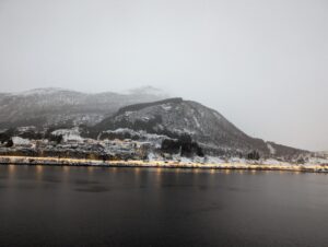 PXL_20241219_091013629.NIGHT