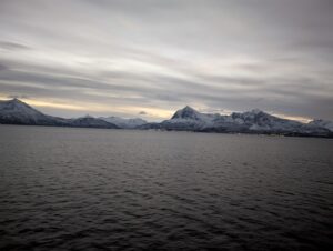 PXL_20241220_080737014.NIGHT