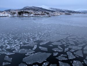 PXL_20241220_095100767.MP