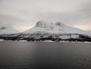 PXL_20241220_122948951