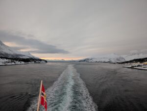 PXL_20241220_123831485.NIGHT