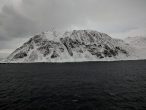 PXL_20241221_095615616