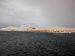 PXL_20241221_095910754.NIGHT