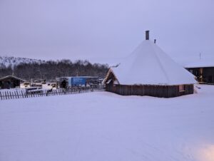 PXL_20241222_084039916