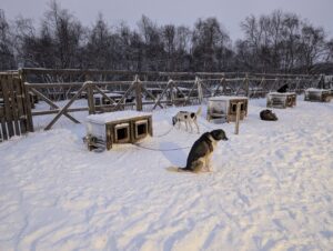 PXL_20241222_085408154