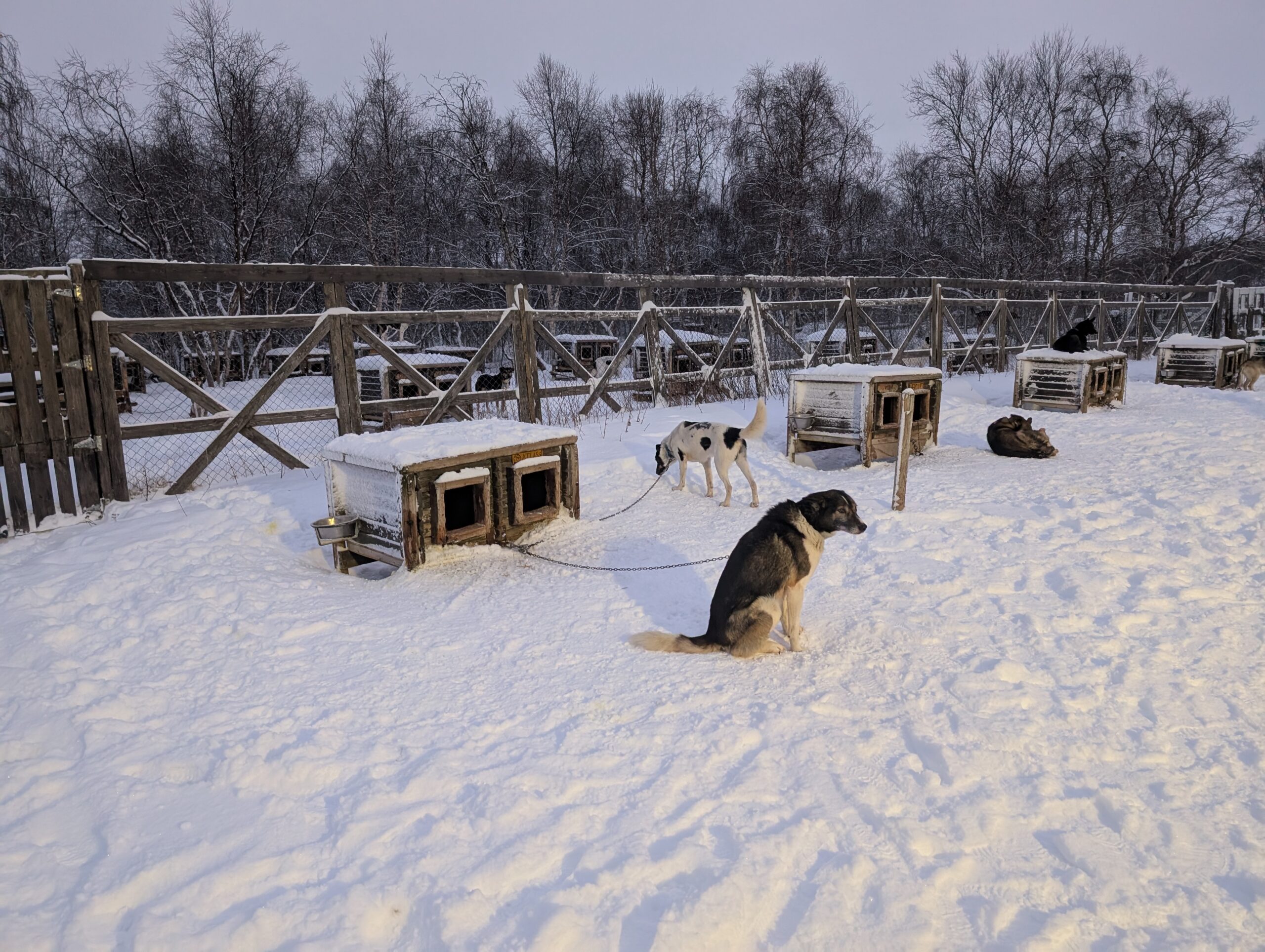 PXL_20241222_085408154