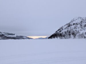 PXL_20241222_091901465.MP