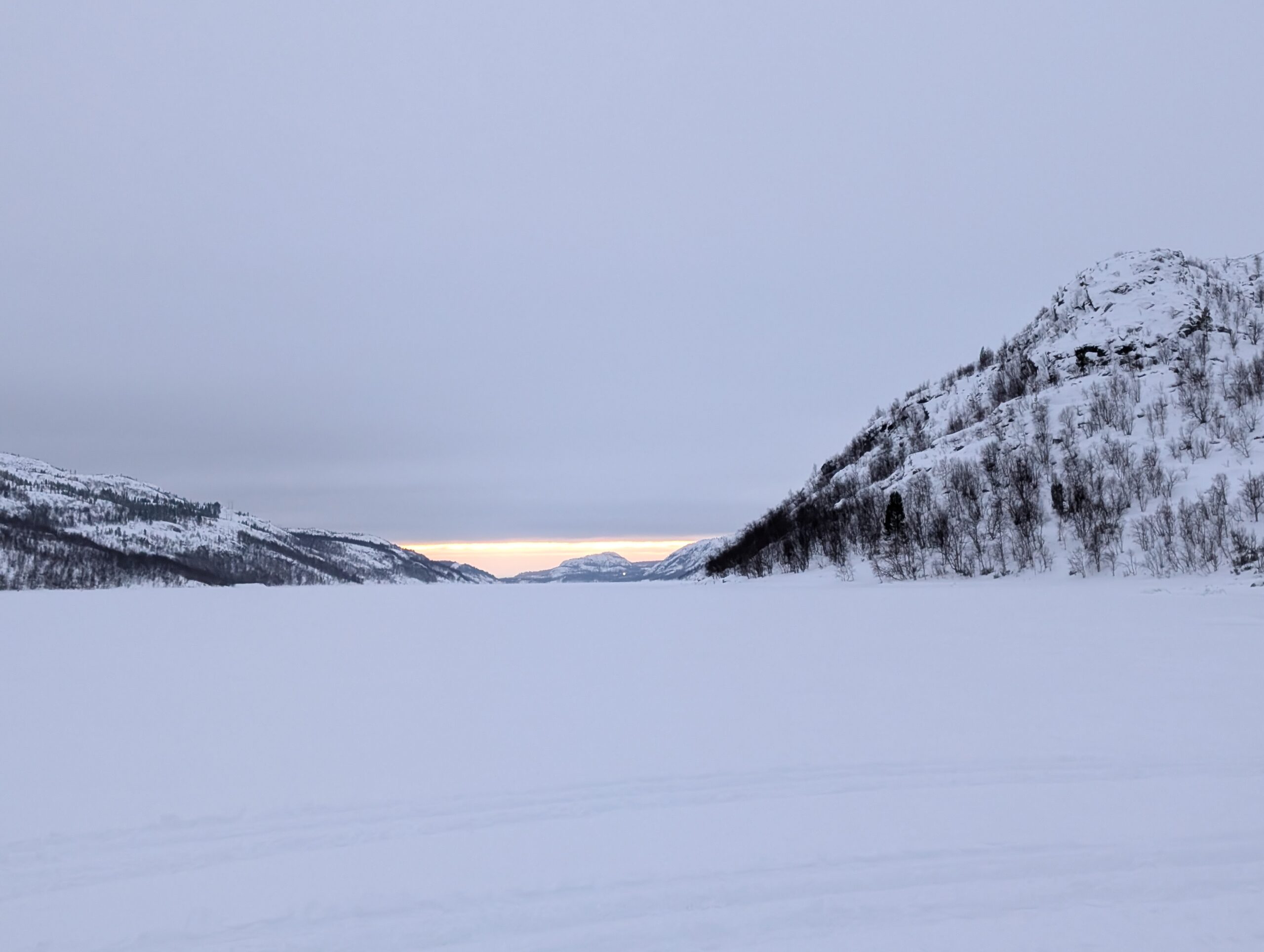 PXL_20241222_091901465.MP