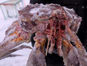 PXL_20241222_092251341