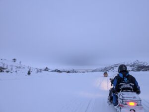 PXL_20241222_093541843