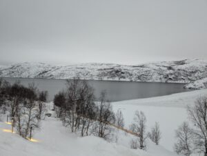 PXL_20241222_095850705.MP