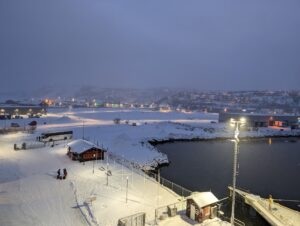 PXL_20241222_112835306