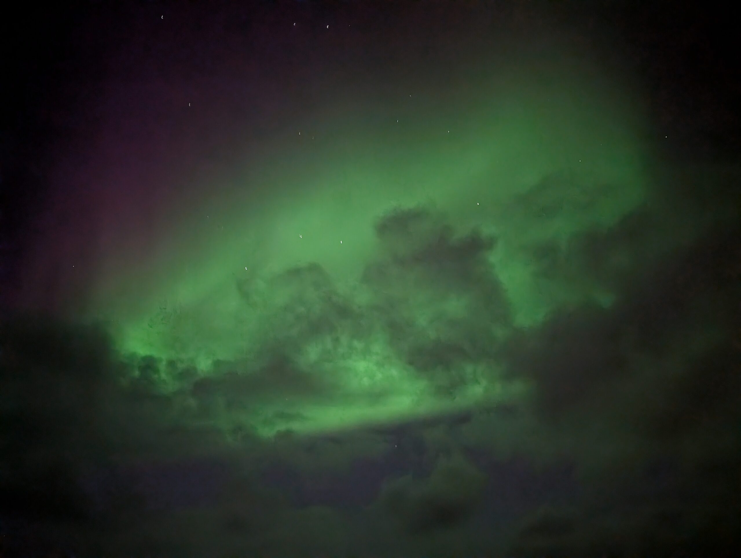 PXL_20241222_141348573.NIGHT