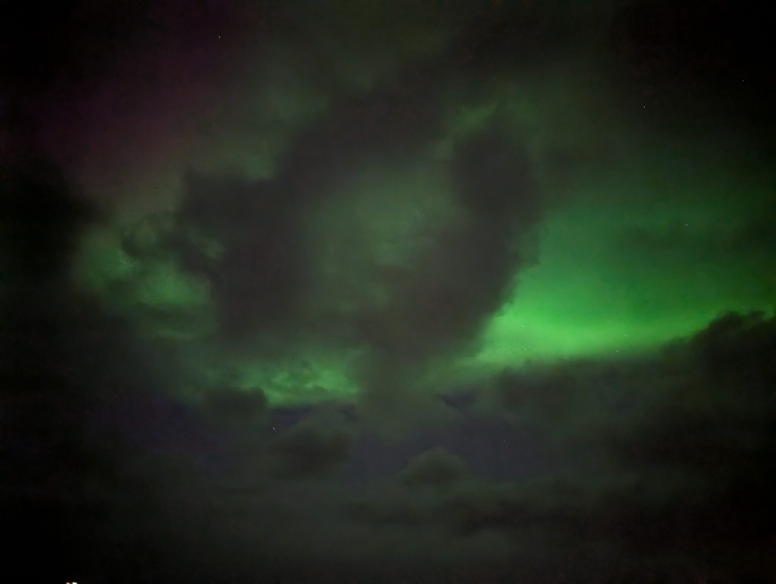 PXL_20241222_141453956.NIGHT