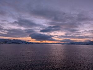 PXL_20241223_101612472.NIGHT