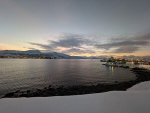 PXL_20241223_105310574