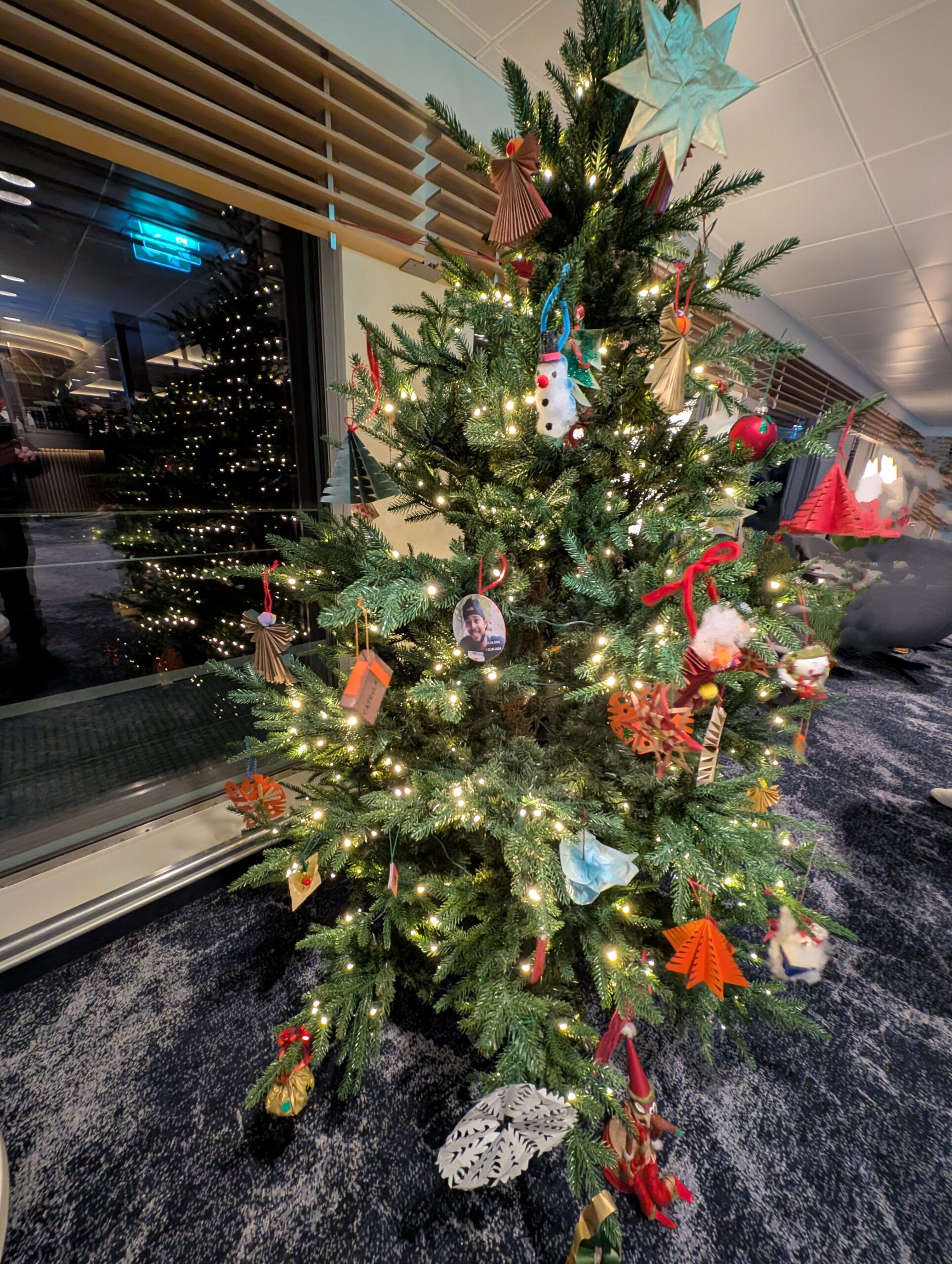 PXL_20241223_162458311.RAW-01.MP.COVER~2