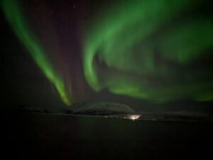 PXL_20241223_164911887.NIGHT.RAW-01.COVER