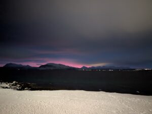 PXL_20241224_072928150