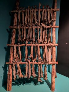 PXL_20241224_080741999