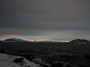 PXL_20241224_083703014