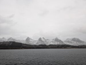 PXL_20241225_114615547.MP