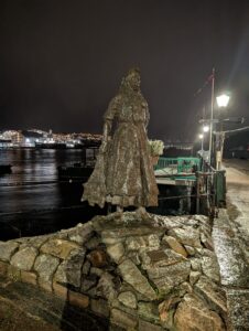 PXL_20241226_153856389.NIGHT