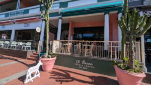 PXL_20251008_133023261