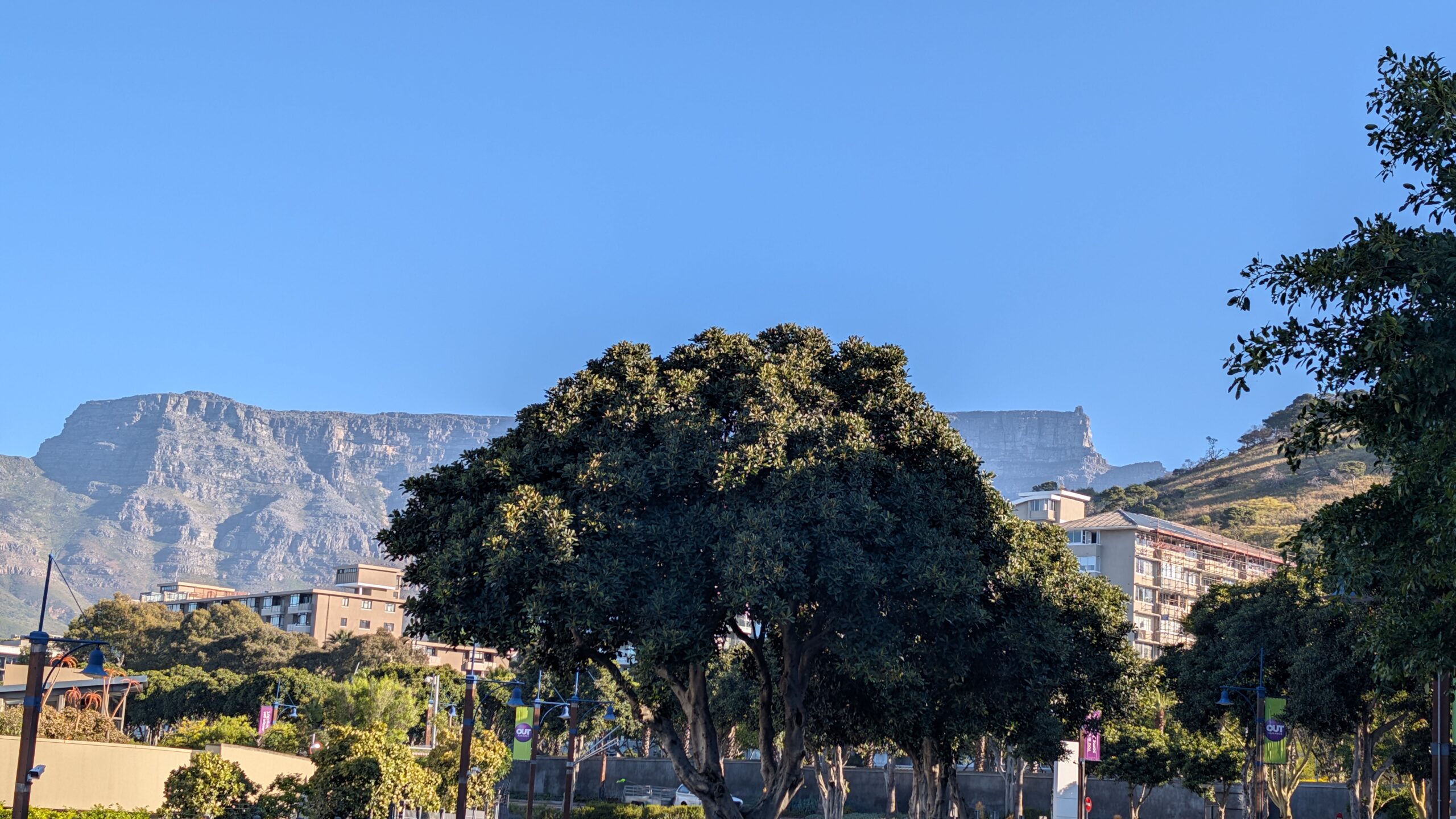 PXL_20251008_150821432