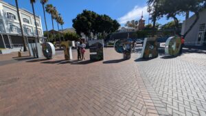 PXL_20251009_130717731