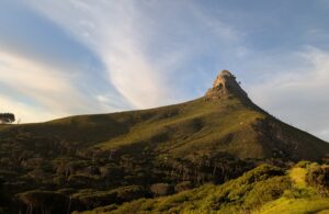 PXL_20251009_162825430