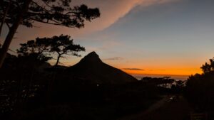 PXL_20251009_172457791