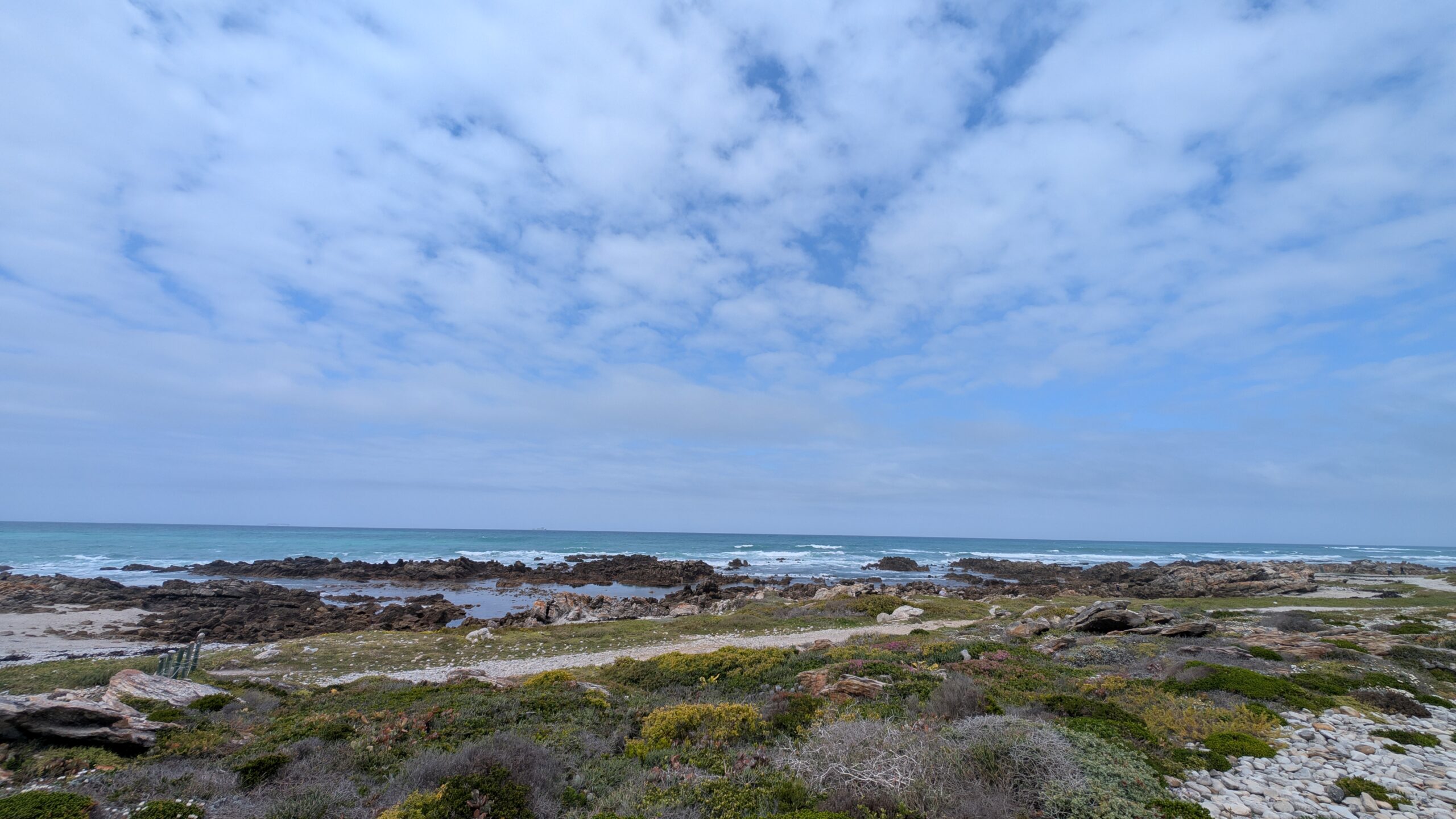 PXL_20251011_084326142