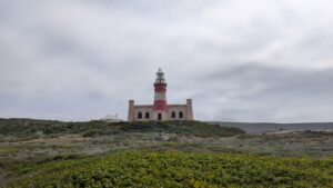 PXL_20251011_085059658