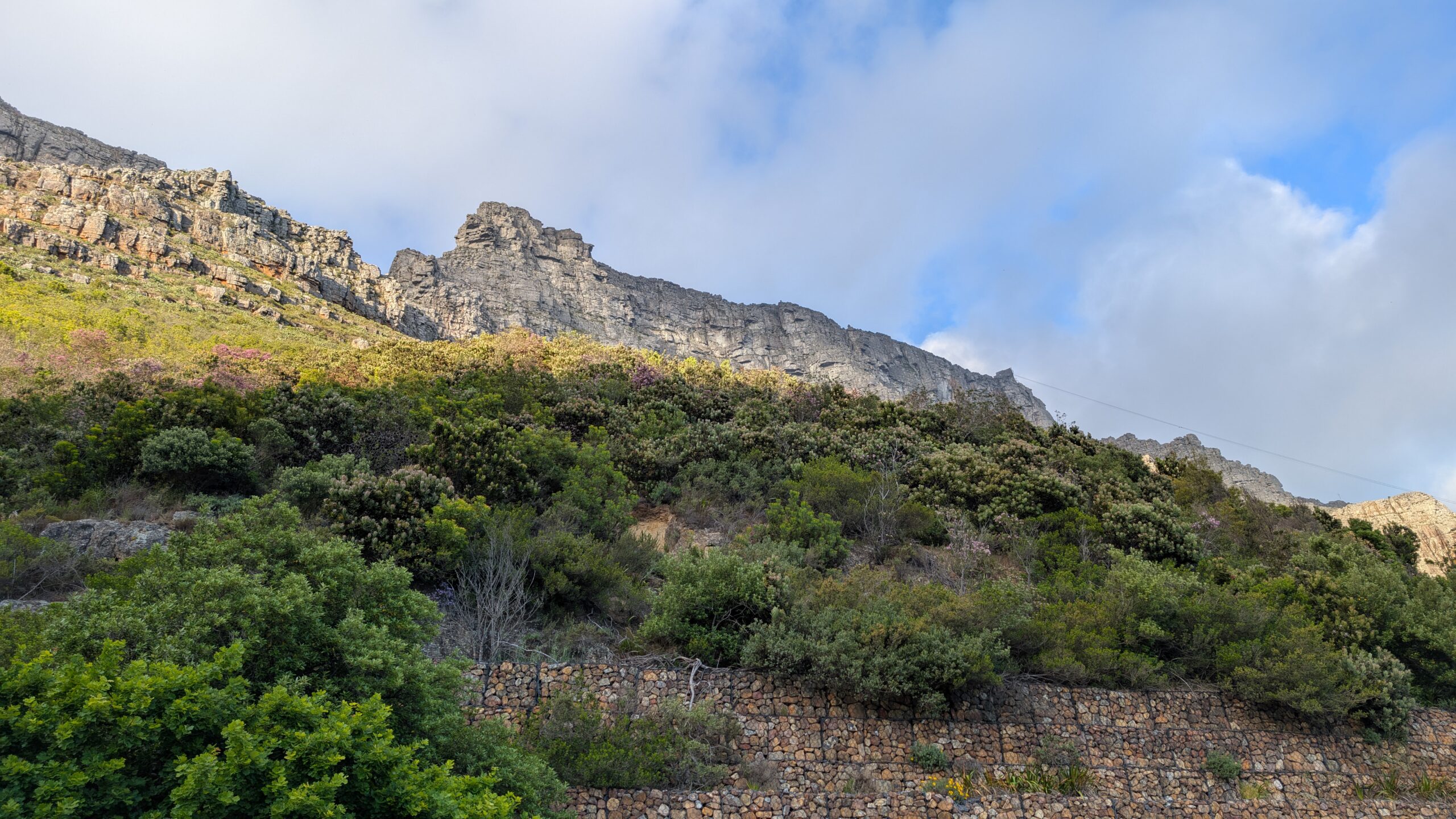 PXL_20251015_051305127