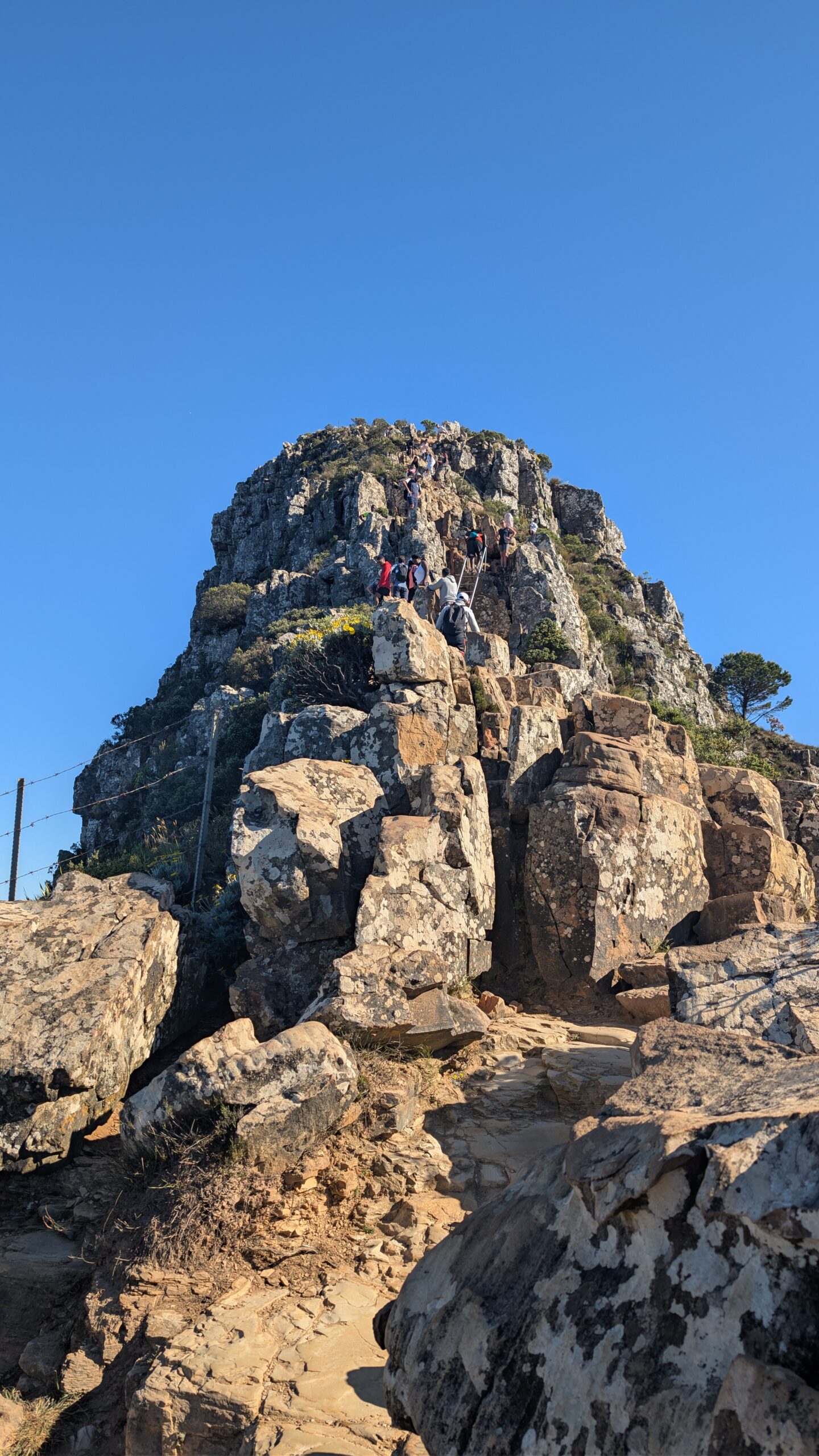 PXL_20251019_065336430